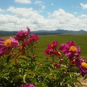 Meet your Posher, Miriam